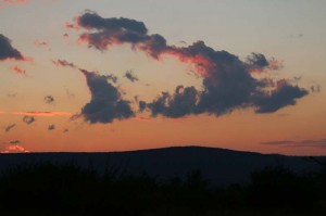 IMG_0354